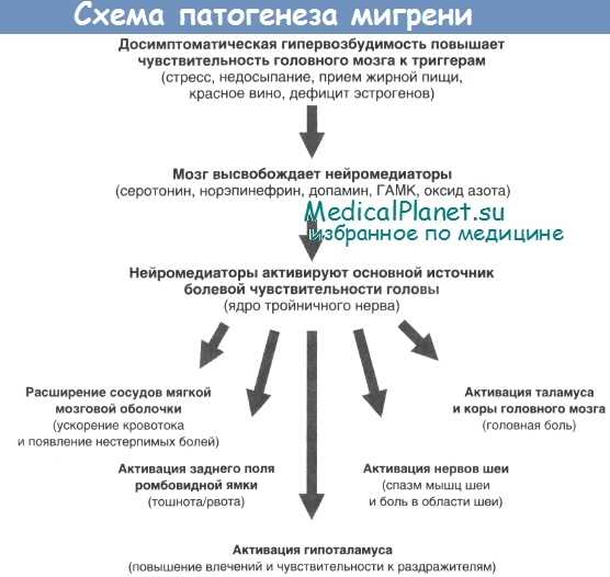 Система восприятия боли