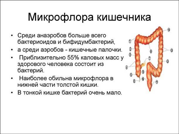 2. Расщепление пищевых волокон