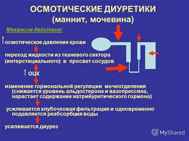 Влияние сигнальных путей на эффективность лечения дегенеративных заболеваний