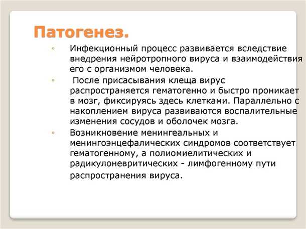 Влияние нейроинфекций на состояние мозга