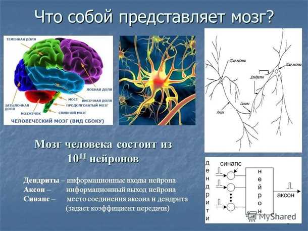 Прогнозирование эффективности лечения