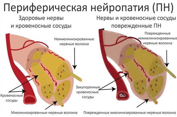 Лабораторные исследования