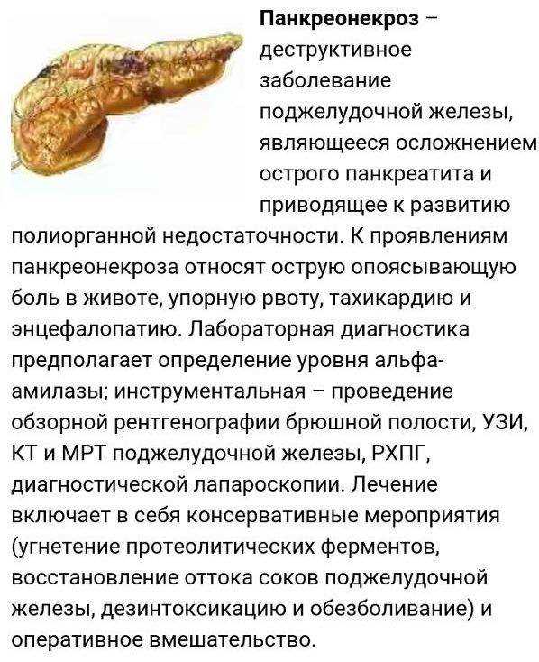 Профилактика некроза кишечника