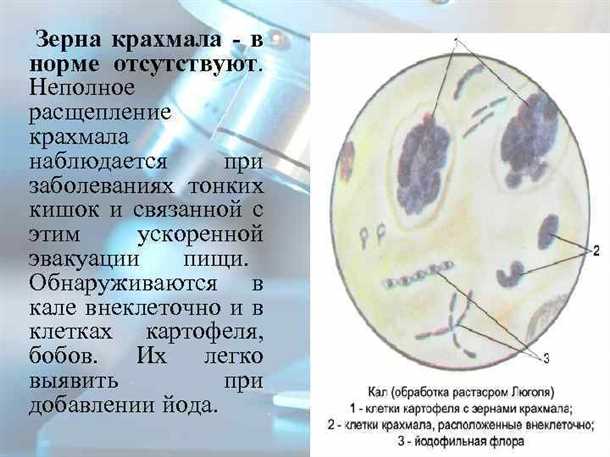 1. Желудочно-кишечные инфекции