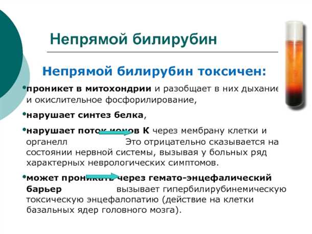 Правильное питание
