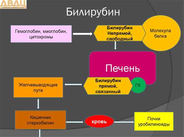 Профилактика повышенного уровня непрямого билирубина