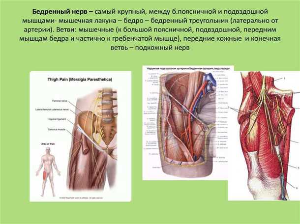 Методы диагностики и лечения