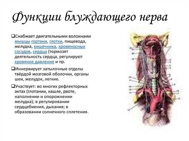 Что такое неприятное ощущение и его проявления?