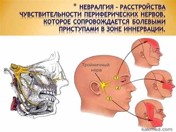 Принцип работы электрофизиологических исследований