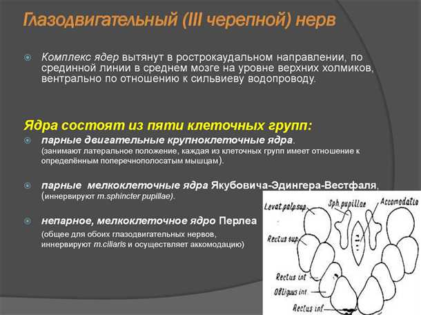 Влияние внутренних факторов