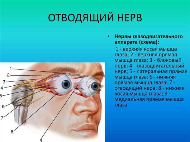 Невралгия глазодвигательного нерва: диагностика и подходы к реабилитации.