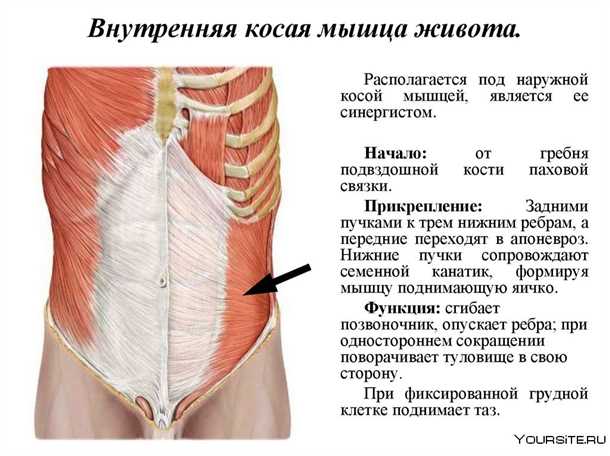 Диагностика и оценка проблемы