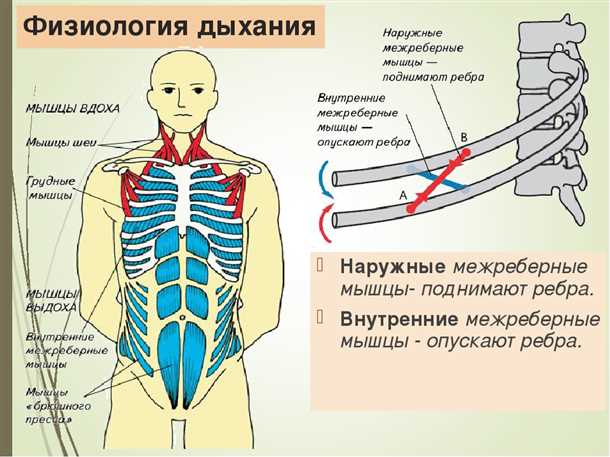 Что скрывается за болезнью в области живота?