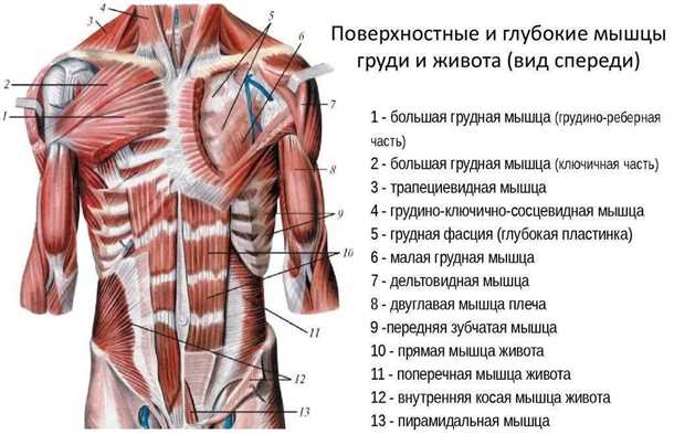 Как поставить диагноз?