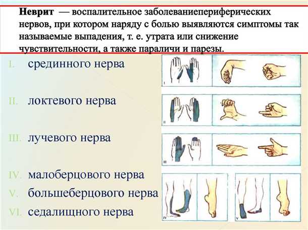 Врачебный осмотр и анамнез