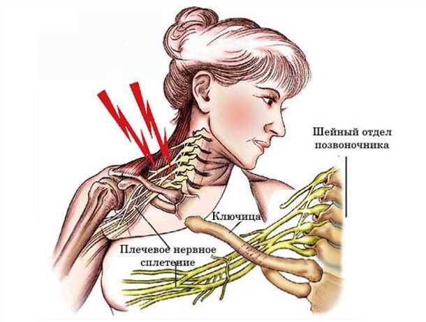 Комплекс упражнений