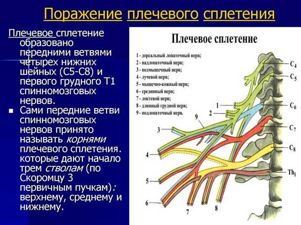 Различные методы лечения невралгии плечевого сплетения