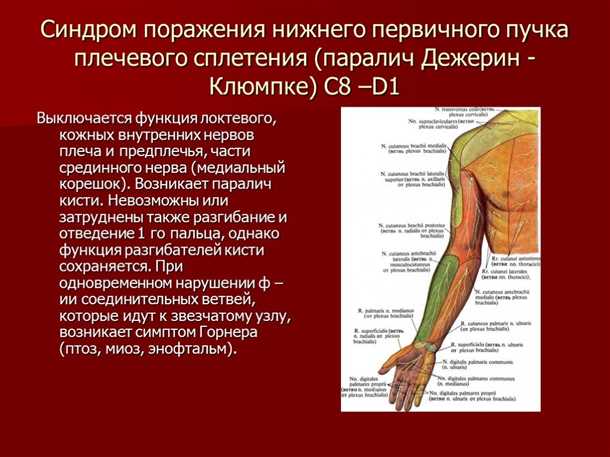 Основные характеристики боли в области плеча и шейного отдела позвоночника