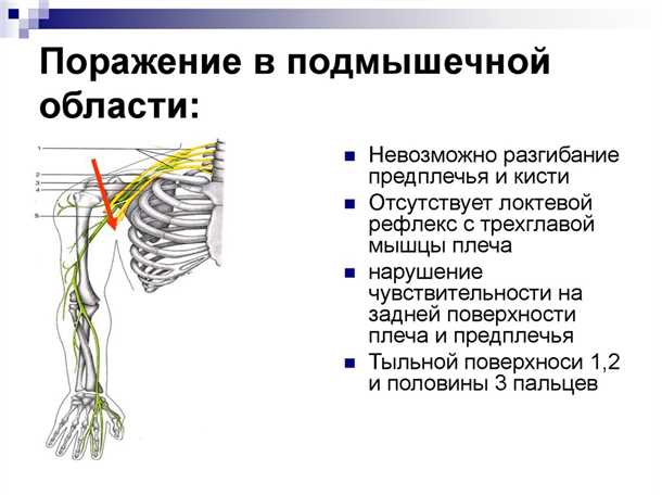1. Анамнез и физическое обследование