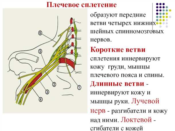 Специализированные тесты и инструментальные исследования