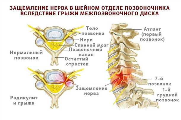 2. Острые и хронические заболевания