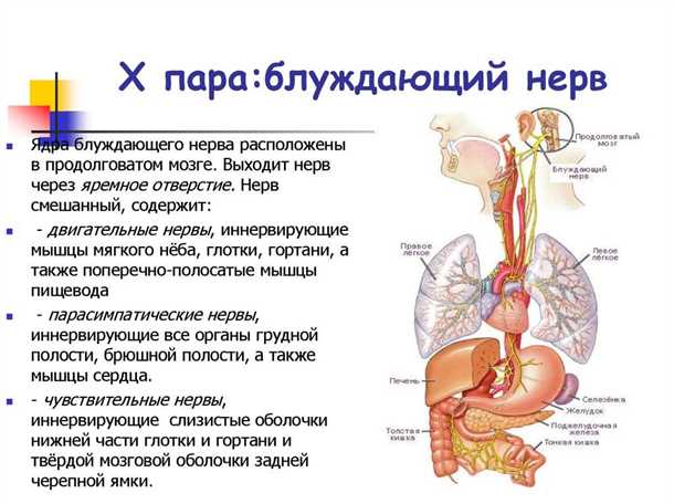 Дополнительные методы диагностики