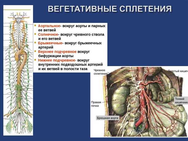 Техники блокад и их эффективность в устранении боли
