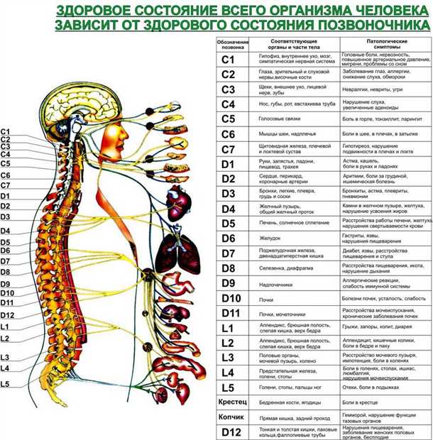 Способы предотвращения и ранней диагностики невралгии позвоночника