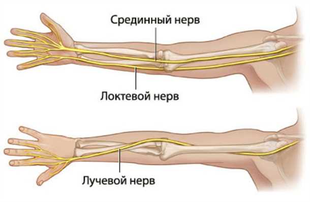 Как происходит выявление невралгии ветвей локтевого нерва?