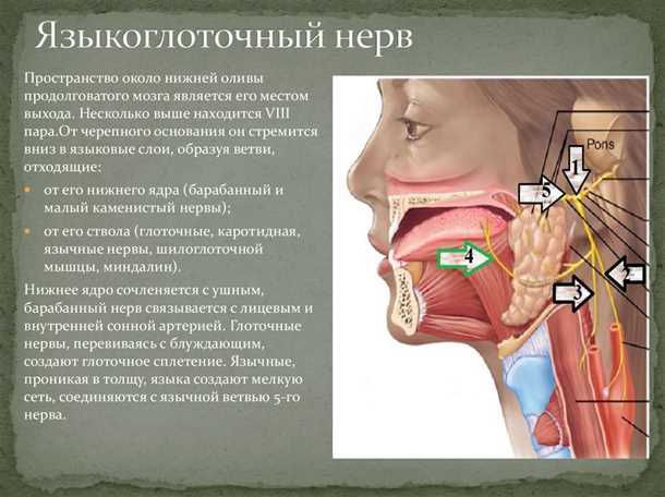 Противовоспалительные препараты