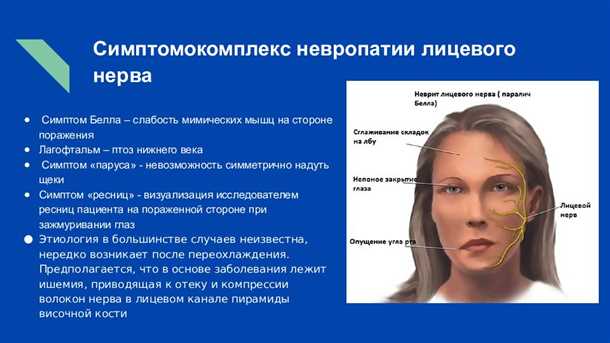 Роль анатомии и функций нервной системы в контексте заболеваний сердца