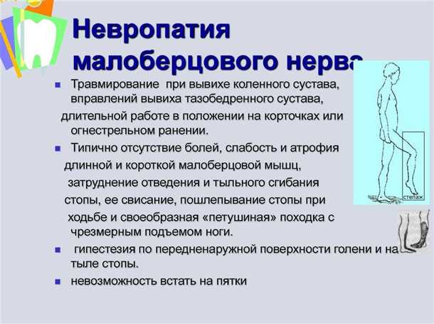 Иммунная система и ее роль