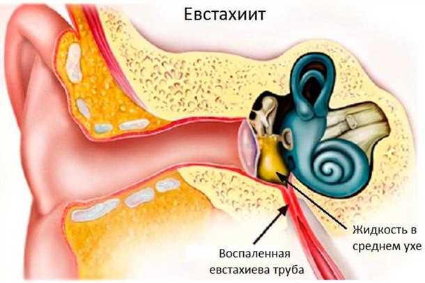 Анамнез и физикальное обследование