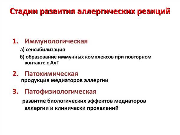 Заключение