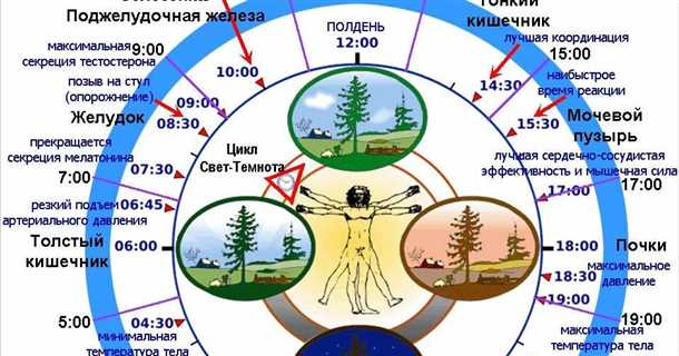 Научный календарь "Модельные организмы" * Краудфандинг "Биомолекулы" * Календарь