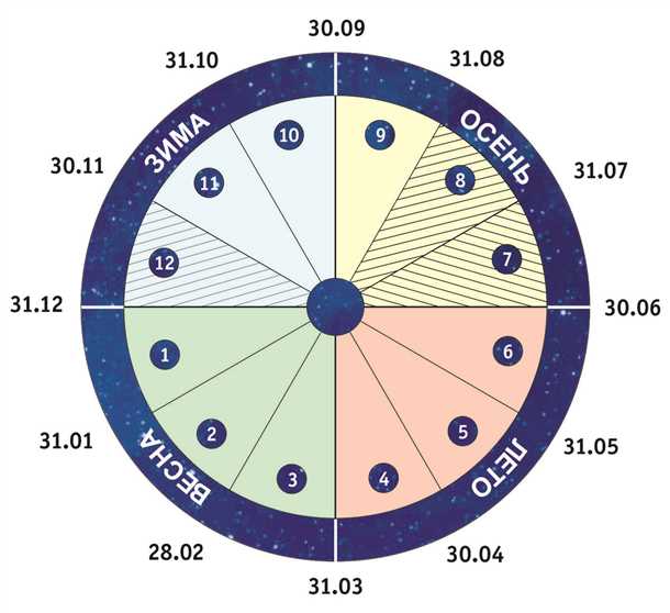 Биологические ритмы и сон