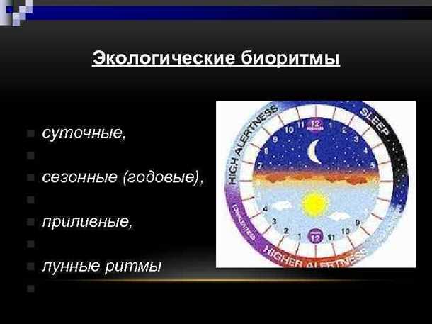 Неврологические аспекты биоритмов и сезонности