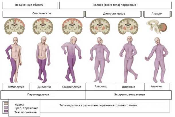 Медицинская помощь
