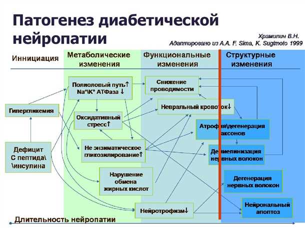 Неврологические аспекты диабетической нейропатии