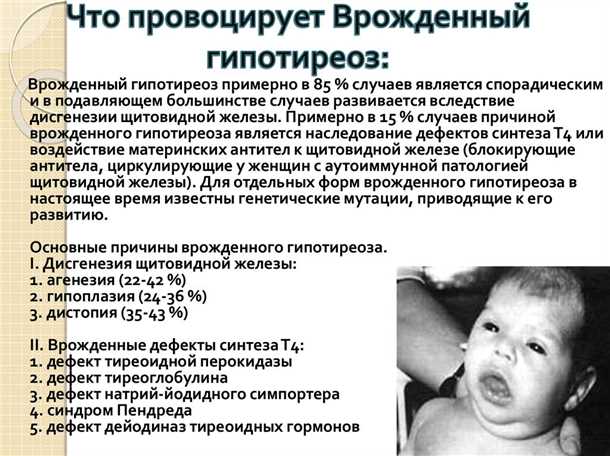 Роль щитовидной железы в развитии нервной системы