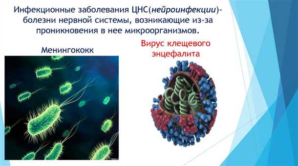 Влияние патогенов на центральную нервную систему и факторы их возникновения