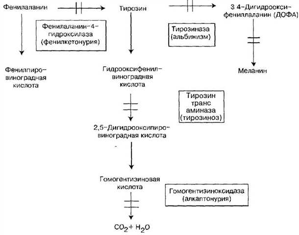 Профилактика неврологических осложнений при фенилкетонурии