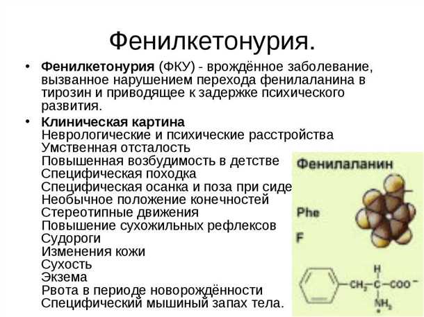 Нервная система и её роль в развитии фенилкетонурии