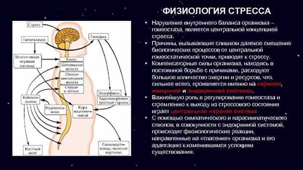 Гормональные нарушения и неврологические проявления