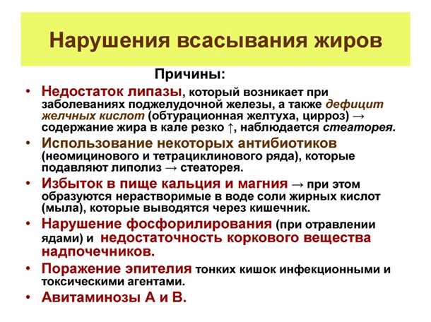 Уровень жиров и функционирование нервной системы