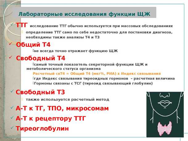 Влияние нарушений функции щитовидной железы на развитие психических функций