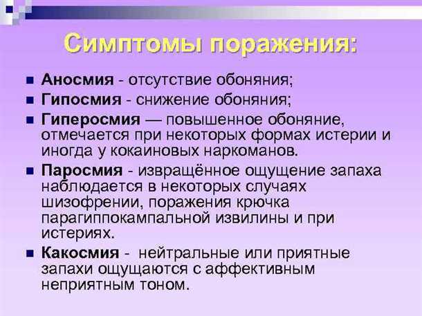 Влияние обоняния на познавательные способности ребенка