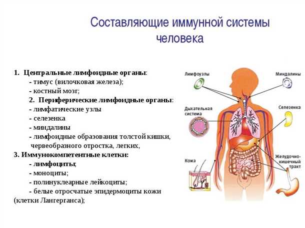 Комплексное лечение и перспективы исследований