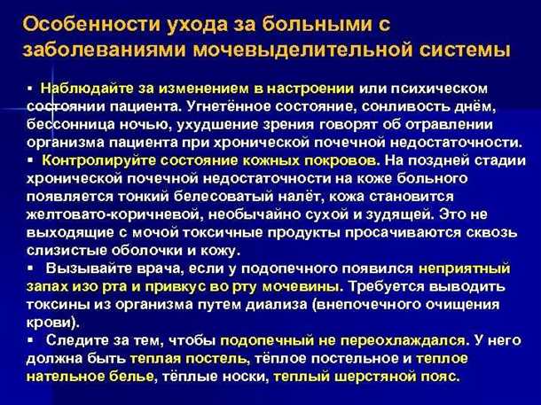 Функции нервной системы в контексте мочеполовой системы