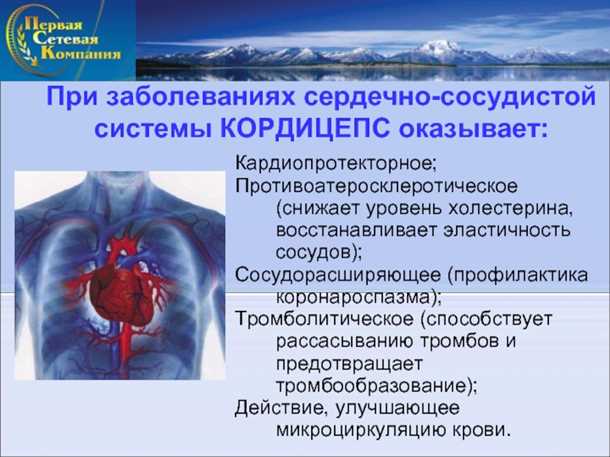 Влияние эмоционального фона на физическое и психологическое состояние